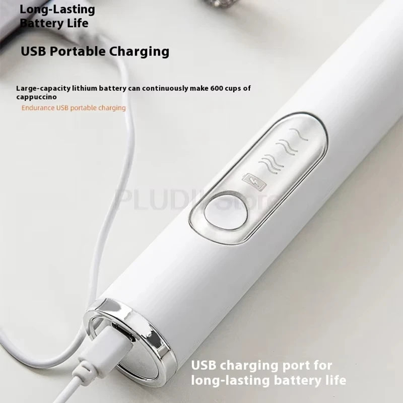 Handheld Electric Milk Frother