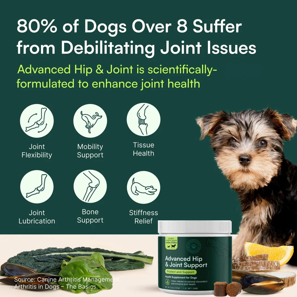 Dog Joint Supplement for Mobility and Comfort