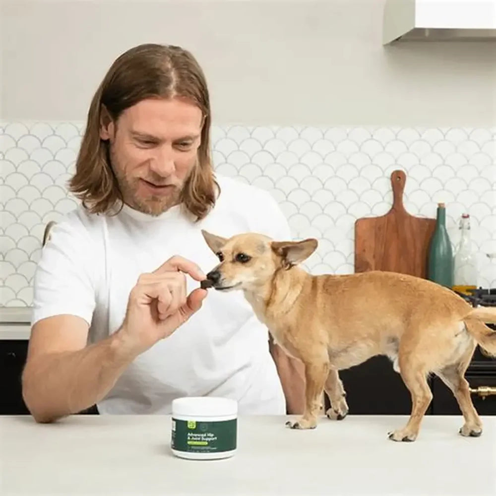 Dog Joint Supplement for Mobility and Comfort