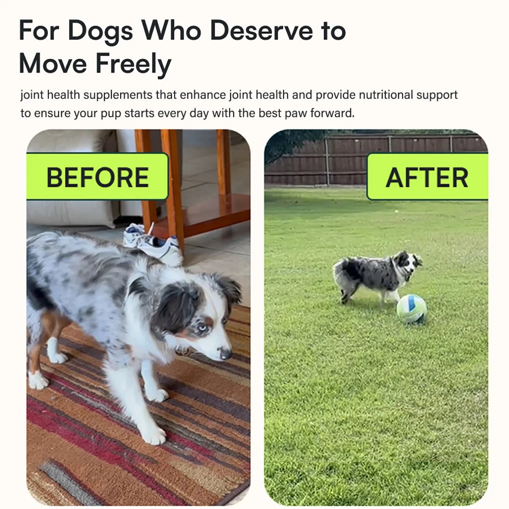 Dog Joint Supplement for Mobility and Comfort
